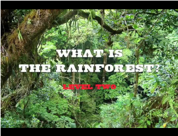 Listening_videos_rainforest