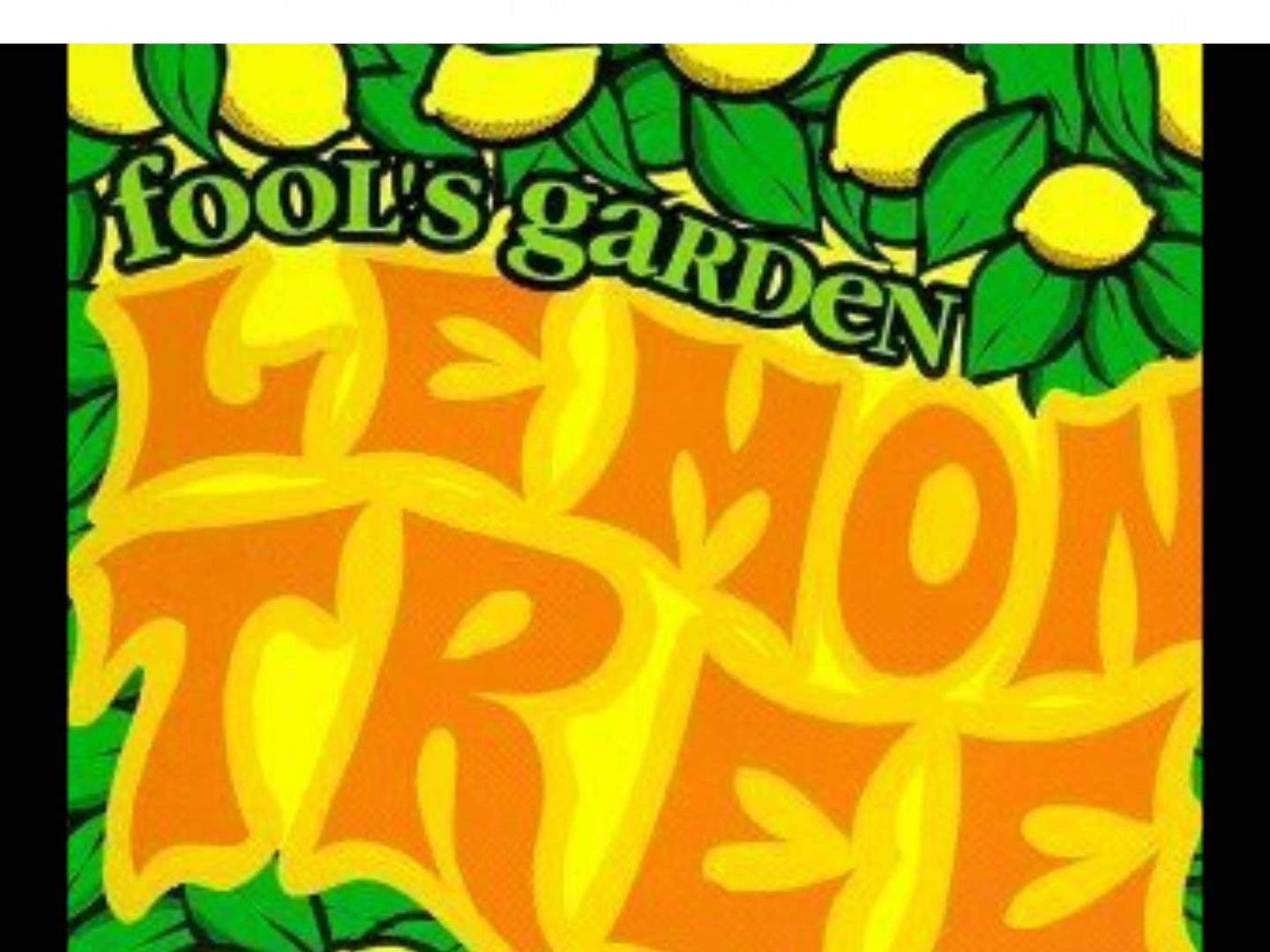 lemon tree-fools garden